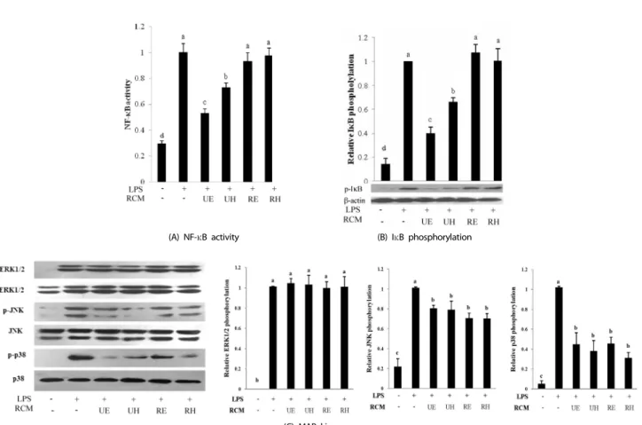 Fig. 5. Effects of RCM extracts on NF-κB activity (A), IκB phosphorylation (B) and MAP kinase activities (C) in LPS induced RAW 264.7