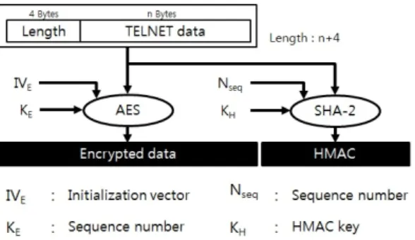 Fig. 14 Captured STELNET　packet