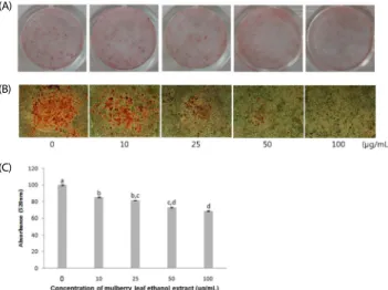 Fig. 3. The effects of mulberry leaf ethanol extract (MLEE) on the protein  expression of adipogenesis-related factors in 3T3-L1 adipocytes