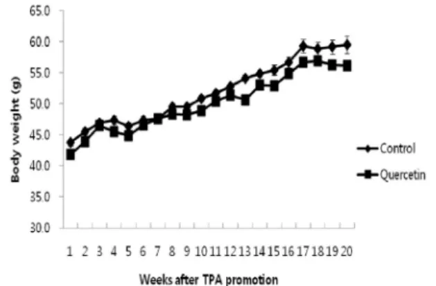Fig. 1. Body weight change. In  experiment  1,  BK5.IGF-1  Tg  mice  in  the  control  (n = 8)  and  quercetin  (n = 9)  diet  groups  were  initiated  with  200  nmol  (50  μg)  of  DMBA  and  promoted  with  6.5  nmol  (4  μg)  of  TPA  in  200  μl  of  