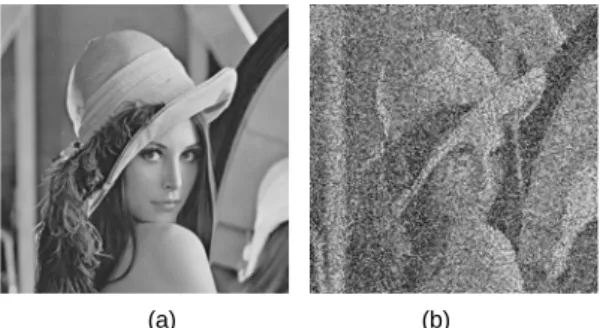Fig. 2 Lena image (a) Original image (b) Noise image 