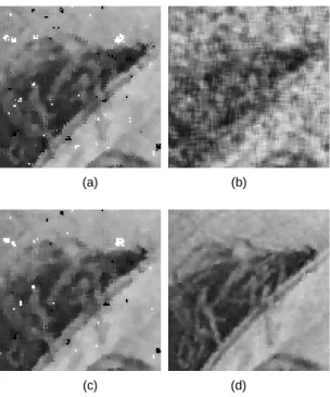 Fig. 5 Enlarged difference image( × 3) for high- frequency  region of Lena image (a) CWMF (b) A-TMF (c) AWMF (d)  PFA 그림 4는 확대 영상의 Lena 영상의 고주파 부분에 대 한 확대된 차영상을 나타낸 것이다