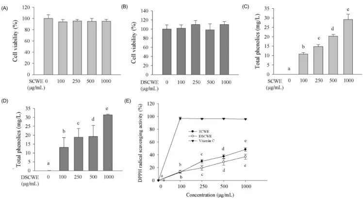 Fig. 1. RBL-2H3 cell toxicity to the Schisandra chinensis water extract (SCWE) and digested SCWE (DSCWE) and their antioxidant effects in a cell-free system.