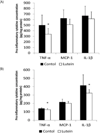 Fig. 4. NF-kB p65 DNA binding activity of control and lutein treated guinea pigs. 