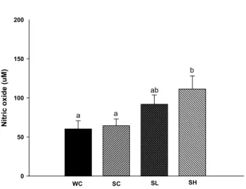 Fig. 3. Serum nitric oxide concentration. Bars represent means ± SEM, n = 6 rats  per group