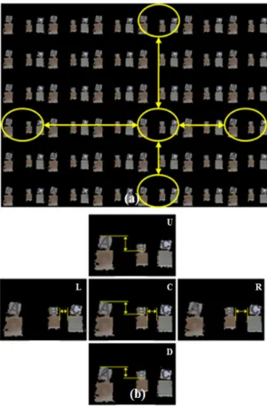 Fig. 11 Experimental results from Fig. 9(b). (a) images  obtained in different angles (b) comparison of disparity