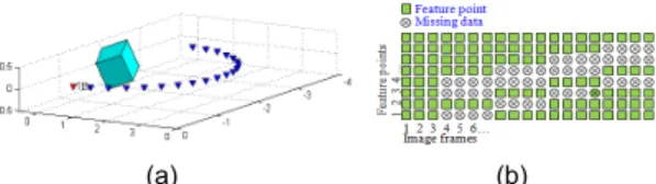 Fig. 5 Synthetic video clip and observation feature points  (a) cube and camera configuration (b) observation data