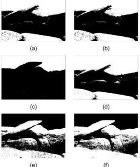 Fig. 7 Experiment Result of Rocks Image (a) Mean (b)  Otsu (c) Mode (d) Iterative (e) Existing Fuzzy (f) 