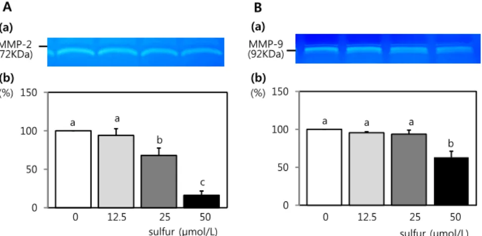 Fig. 4. Effects of inorganic sulfur on MMP-2 and MMP-9 activity in MDA-MB-231 cells. Cells  were  plated  in  6  well  plates  at  a  density  1 × 10 3   cell/mL  in  DMEM/F12  supplemented with 10% FBS