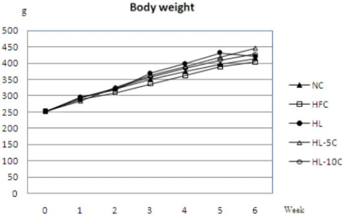 Fig. 2. Change in body weights of the rats.  Values  are  means.