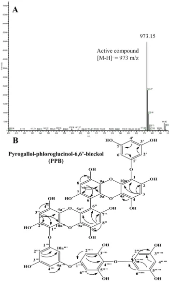 Fig. 2. MS spectroscopic and chemical structure of the active compound  isolated from E