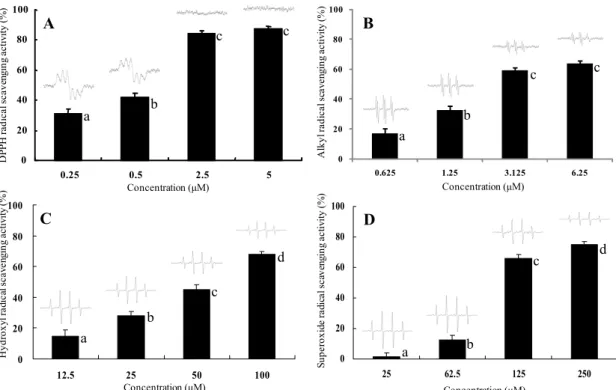Fig. 3. Free radical scavenging activities of PPB measured using an ESR spectrometer. (A) DPPH radical; (B) Alkyl radical; (C) Hydroxyl radical; (D)  Superoxide radical