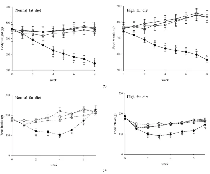 Fig. 1. The changes of body weight (A) and food intake (B) during 8 weeks treatment of corn gluten hydrolyzates, BCAAs, and leucine