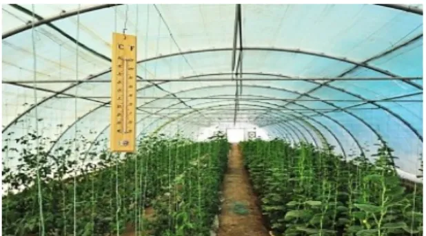 Fig. 3 Thermometer in Greenhouse