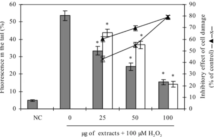 Fig. 6. Comet images of V79-4 cells obtained for AMG hydrolysate. Measurements  were made by image analysis with fluorescence microscope determining the percentage  of fluorescence in the tail. (A) negative control (B) V79-4 cells treated with 50 μM  H 2 O