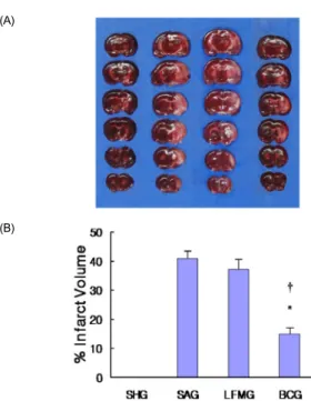 Fig. 2. Effects of treatment with saline, LFM, and BC on brain infarct volume  in rats