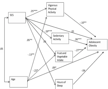 Fig. 2. Structural paths for Caucasions *** P < 0.001,  ** P < 0.01,  * P < 0.05