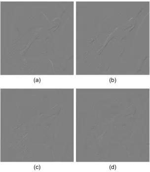 그림 4.  Lena에 대한 예측에러: (a) MED, (b) GAP, (c) EDP,  (d) OAP