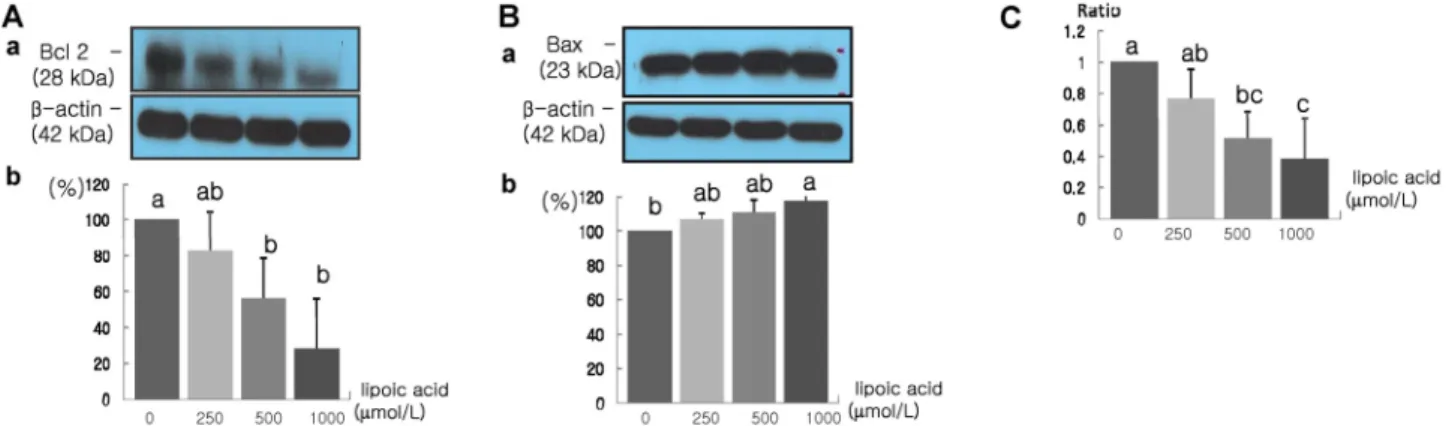 Fig. 6. Effect of α-lipoic acid on Bcl-2 and Bax protein expression in MDA-MB-231 cells