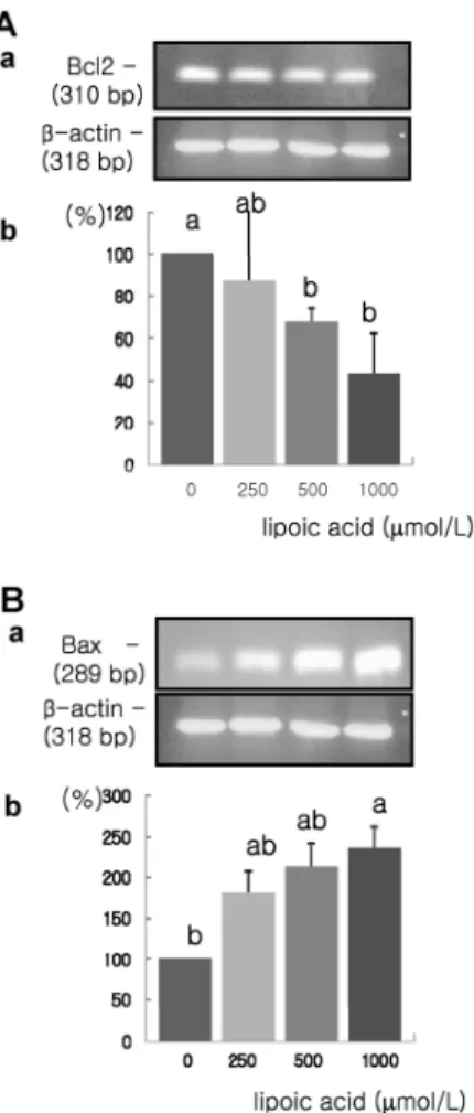 Fig. 7. Effect of α-lipoic acid on Bcl-2 and Bax mRNA expression in  MDA-MB-231 cells