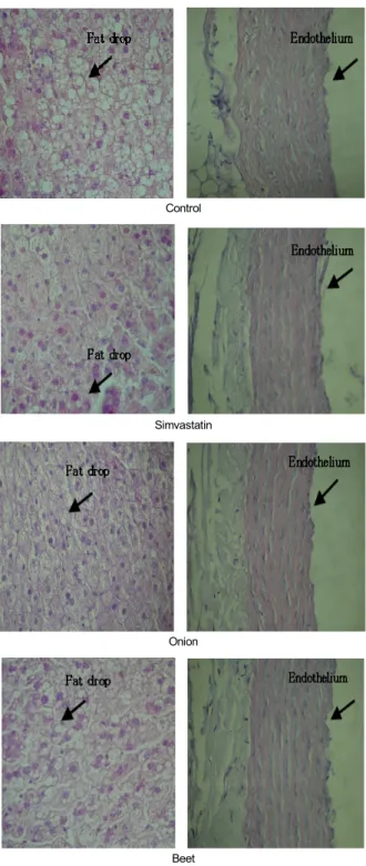 Table 4. Effects of onion and beet on platelet aggregation in simvastatin treated hypercholesterolemic rats