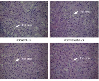 Fig. 1. Microscopic appearance of liver tissue (×400)