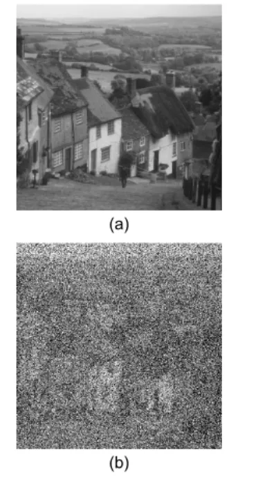 Fig. 1 Goldhill image (a) Original image (b) Noise image 