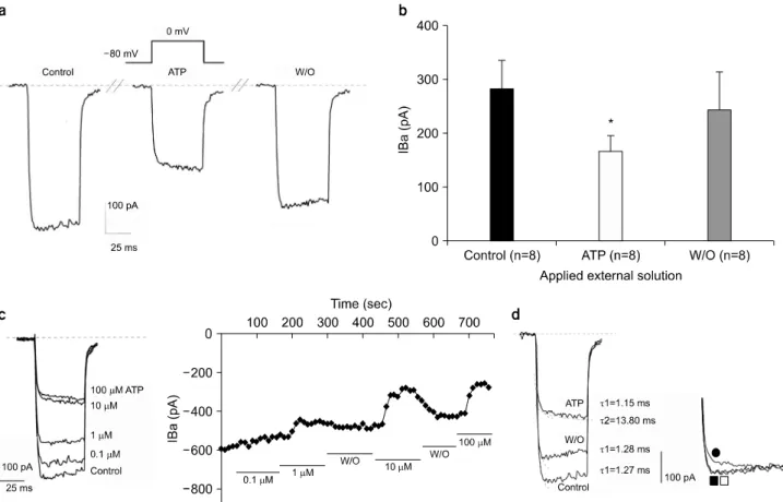 Fig.  2.  Effect  of  ATP  on  Barium  current  (I Ba ).  (a)  Upper  trace  is  voltage  protocol