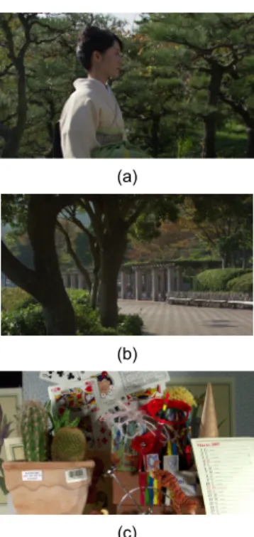 Fig. 2 Examples of Video sequences for experiment :  (a) Kimono1, (b) Park Scene, (c) Cactus