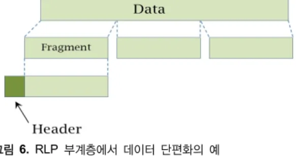 그림 6.  RLP  부계층에서 데이터 단편화의 예