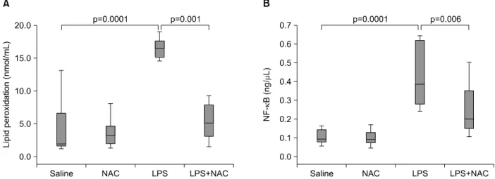Figure 1. The effects of N-acetylcysteine (NAC) of nuclear factor κB (NF-κB) and lipid peroxidation in lipopolysaccharide (LPS) induced acute lung injury