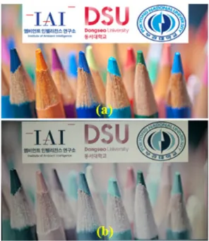 Fig. 10 Result of 2D display. (a) an original picture (b) the  observed scene by a camera