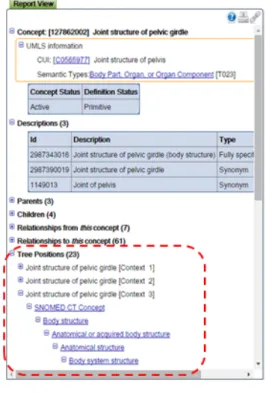 Fig. 3 A screenshot of concept view of NLM browser 