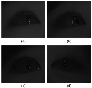 Fig. 1 Gaze tracking system using 11 light sources[13]