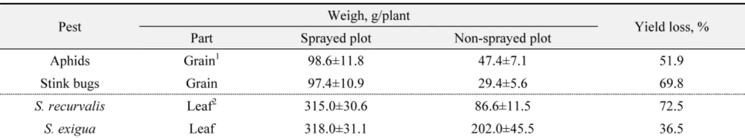 Table 3.  Yield losses of amaranth grain and leaf resulting from the treatment of insecticides to control four species of insect pests