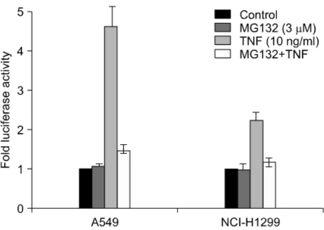 Figure 1. MG132 inhibits TNF-α induced NF-κB depend- depend-ent  transcriptional  activation  in  both  A549  and  NCI-  H1299 cells