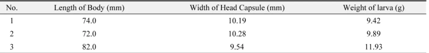 Table 2.  An updated list of host plants of Callipogon relictus Semenov (modified from Lee et al., 2019) (*, new record from present study)