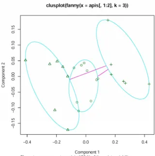 Fig. 2.  The discrimination model the dataset of honey bee lines on  clouds using methods Soft k-means (Dunn, 1973; Bezdek, 1981)