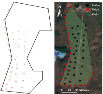 Fig. 2.  Transparent sticky trap installation status (Left: inside of  field, Right: edge of field).