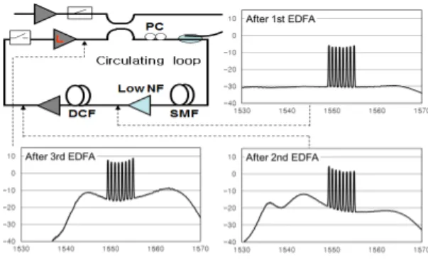 Fig. 3 A loop optical amplifier at output area of the loop