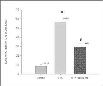 Figure 3. Changes in MPO activity in endotoxin and  diltiazem  treated  rats.  Endotoxin  had  increased  (P 