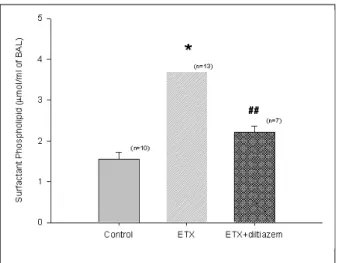 Figure 6. Effect of diltiazem on the lung leak caused  by endotoxin. Endotoxin had increased (P<0.01) lung  leak denoted by the protein content (mg/ two lungs)  in BAL compared with that of control rats
