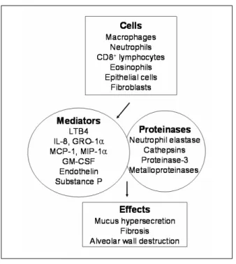 Figure  2.   Cells  and  Mediators  Involved  in  the  Pathog