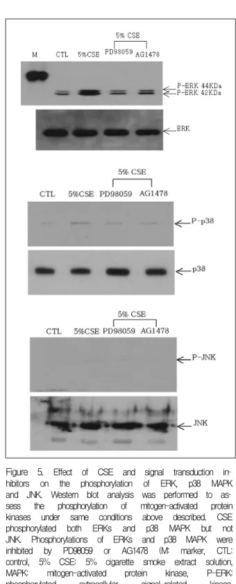 Figure  4.   The  effect  of  cell  signal  transduction  inhibi