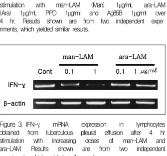 Figure 3 . IFN-γ  mRNA  expression  in  lymphocytes  obtained  from  tuberculous  pleural  effusion  after  4  hr  stimulation  with  increasing  doses  of  man-LAM  and  ara-LAM