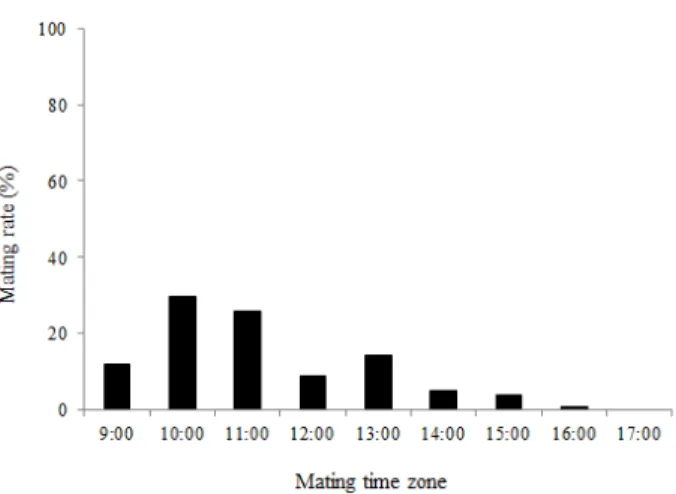 Fig. 8.  Mating rate at the mating time zone of B. ignitus  males. 
