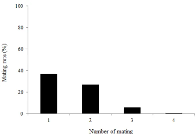 Fig. 10.  Mating rate at the number of mating of B. ignitus  males. 