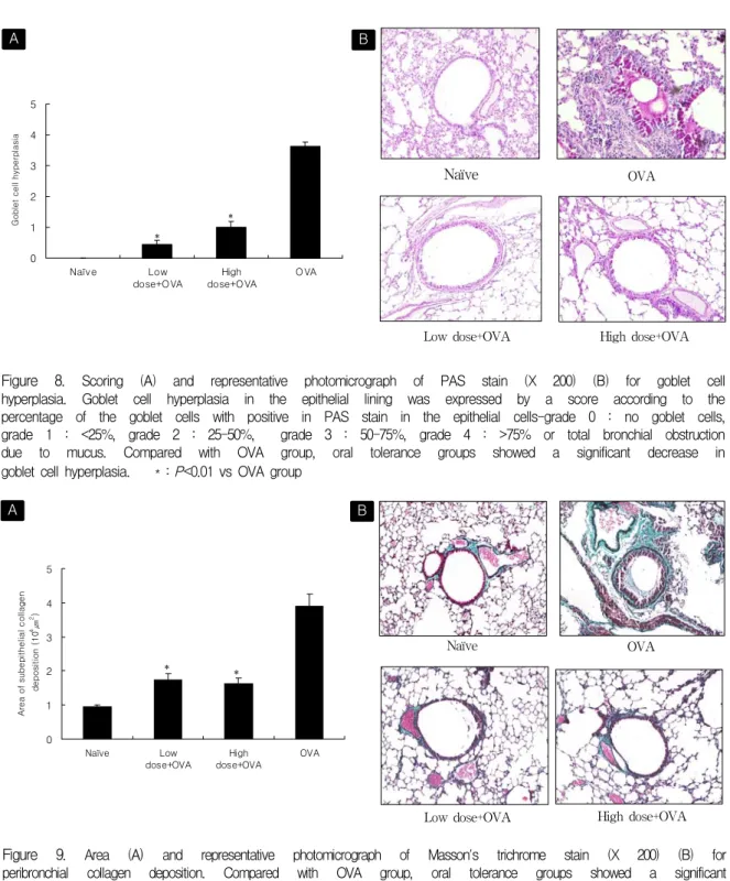 Figure  8 .  Scoring  (A)  and  representative  photomicrograph  of  PAS  stain  (X  200)  (B)  for  goblet  cell  hyperplasia