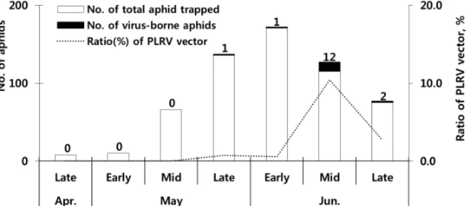 Fig. 4.  PLRV transmission rates (%) by aphid species migrated to Daegwallyeong area in 2018.