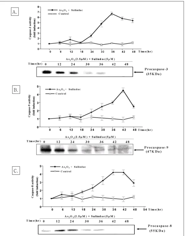 Fig. 3. Combination treatment of As 2 O 3 and sulindac increased the catalytic activity of caspase-3,8,9 protease and cleaved procaspase-3, 8, 9 protease of NCI-H157 lung cells in a time-dependent manner